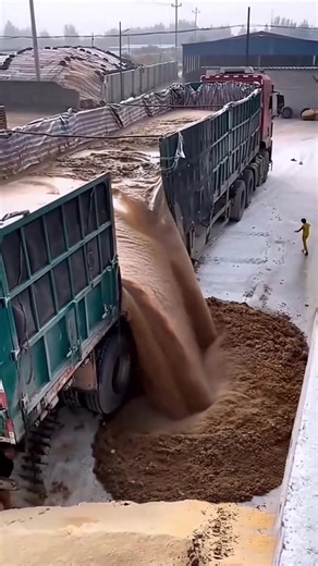 Will They Be Able to Control the Flow? AI | Crafty Panda