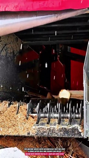 Machine Wood Shredder 2500 kg/h – Heavy-Duty Spiral Cutter