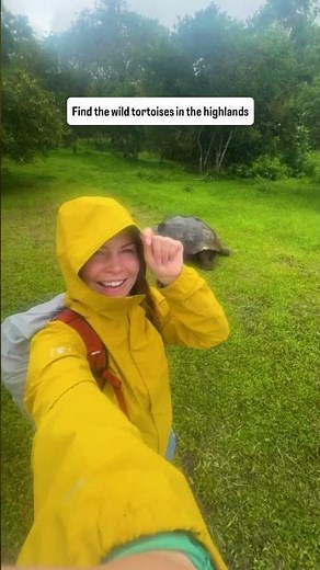 What to do in the Galápagos Islands