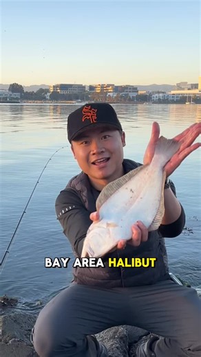 Beeboo Brandon on Instagram: "🐟 How to fish for Halibut in the Bay Area… . . . I’m a terrible fisherman, but somehow always catch something when using 4” paddle tail swim baits and 3/4oz jig heads. Slow retrieves and pauses always help. #fishinglife #fishing #halibut #bayarea #sanfransisco #catchandcook #fishingvlog #outdoors"