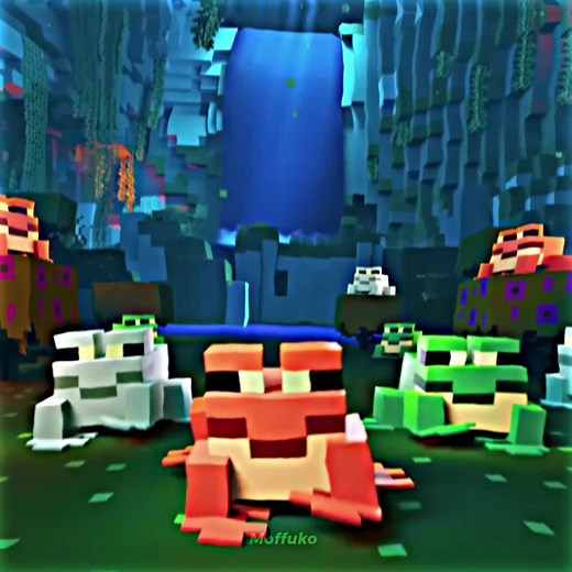 Cuentas recomendadas