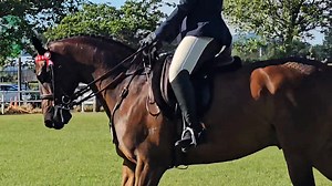 15K views · 198 reactions | Frederic's turn today to do Paced and Mannered classes at Royal A&P Show of New Zealand, hosted by The Canterbury A&P Association. Thanks for sponsoring @Stride. Melwood Equestrian Healthy Horses Inside Out Kristal Merry Photography Beautiful browbands EquiSol NZ | Fitzsimons Equestrian | Facebook