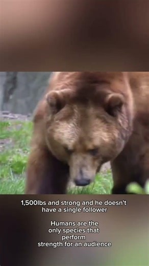 The only 1,500lb influencer that doesn't care if you watch #shorts