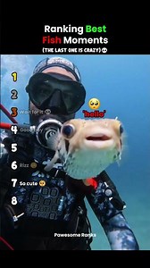 Ranking The Best Fish Ever #usa