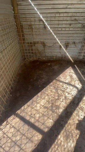 376K views · 10K reactions | We received a plea for help yesterday...