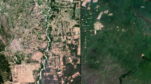 ESA Television - Videos - 2025 - 04 - Earth science and climate animations - March 2024 - Deforestation timelapse