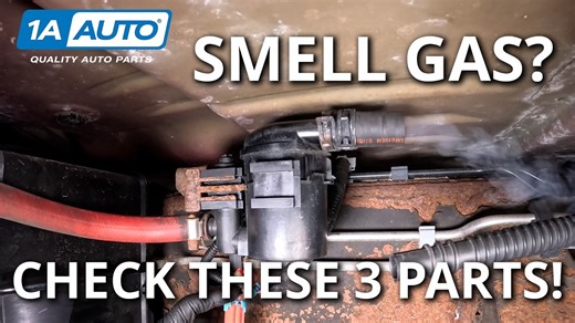 Gas Smell Outside Your Car or Truck Check Engine Light On Check These Three Emissions Parts