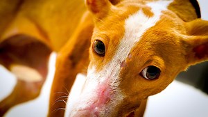 972 reactions · 112 shares | DUNA… A LITTLE BETTER EVERY DAY! IT’S A...