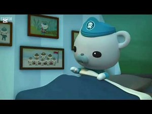 Who Sound the octo alert