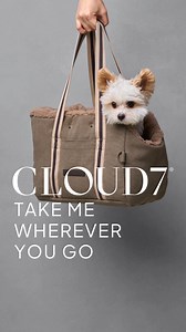 Function meets design in a bag for every occasion. | Cloud7