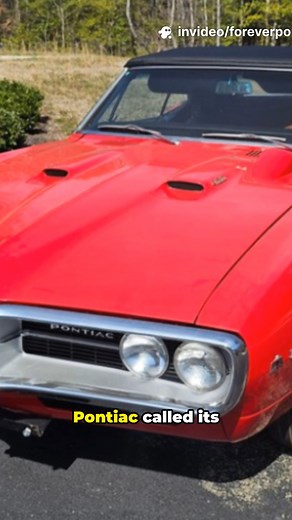 Legendary name. Legendary performance. The Firebird didn’t just get its name… it earned it. 🔥🚘 #pontiac #firebird #classiccar #musclecar #sportscar #car #automotive #history #facts | Forever Pontiac