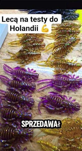 #fishing #spining #okoń #perch #barsch #hobby #holiday #wędkarstwo #worms #handmade#ultralightfishin