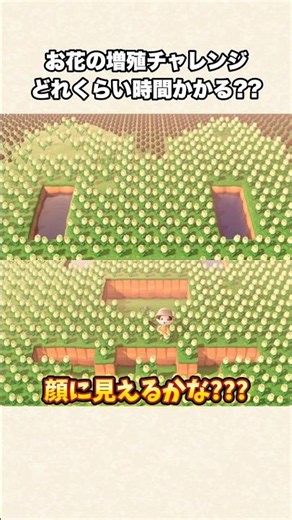 [Animal Crossing] The finished result is absolutely mind-blowing lol [Animal Crossing: New Horizo...