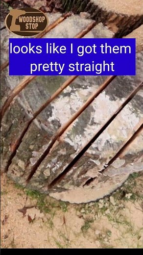 How to cut boards from a short log with a chain saw #woodworking #diy