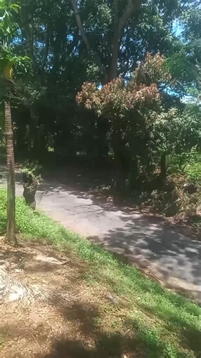 ♧Ai Millly♧ (@ai.millly)’s videos with original sound - 7.T.E.E.N🙌