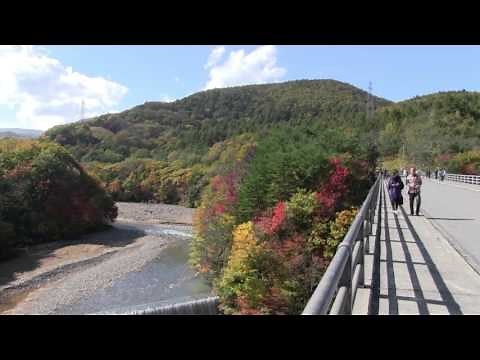 八幡平紅葉情報①森の大橋・松川渓谷玄武岩