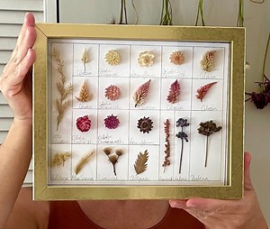 Framed Dried Flower Art - Etsy