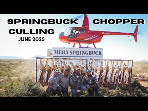 Culling Springbuck from a Helicopter - Mega Springbuck