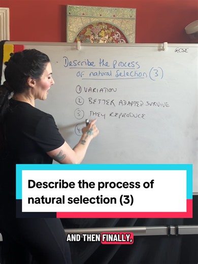 Natural Selection Explained for GCSE Biology (3)