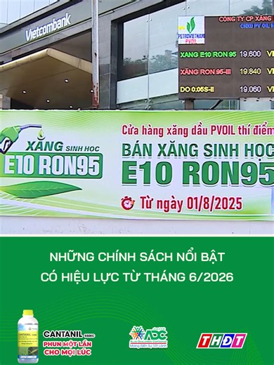 Những chính sách nổi bật có hiệu lực từ tháng 6/2026 #truyenhinhdongthap #dongthap #mcv #thdt