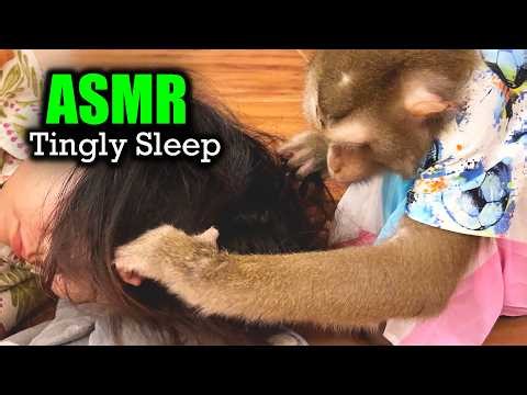 Monkey ASMR (No Talking) | Deep Tingly Sleep Triggers with Soft Grooming