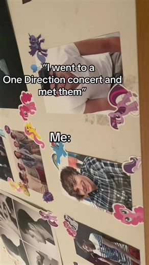 One Direction Concert Experience: Meeting the Band