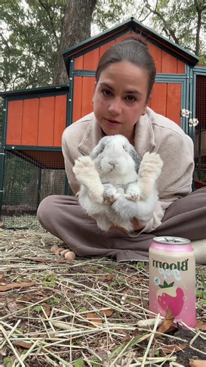Coping After Bunny Neutering: Tips and Support
