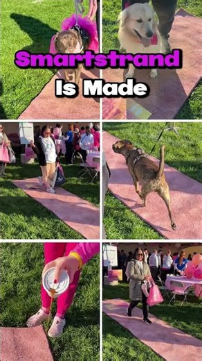 We had 4,000 people dirty this carpet then we cleaned it! #carpetrunner #designinspo #community