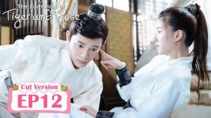 7.7M views · 323K reactions | 【The Romance of Tiger and Rose |...