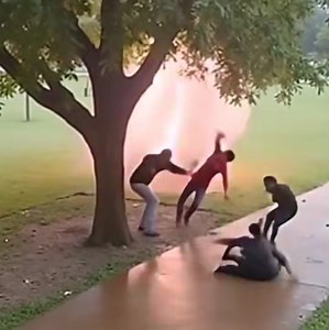 2.9K views · 11 reactions | Terrifying moment caught on camera: lightning strikes four men standing under a tree during rain — but one man miraculously escapes unharmed because... Watch full STORY&VIDEO in the first comment! | Andre Laws ៚ | Facebook