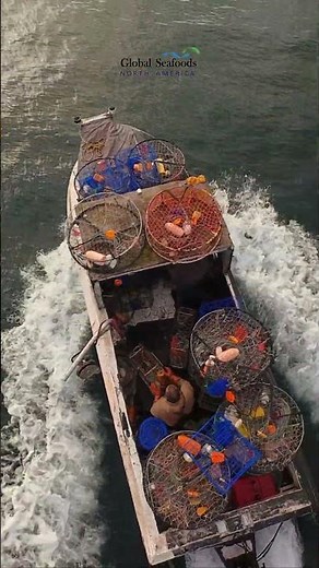 Crab Fishermen Return to Shilshole Bay Marina | Pacific Northwest Crabbing