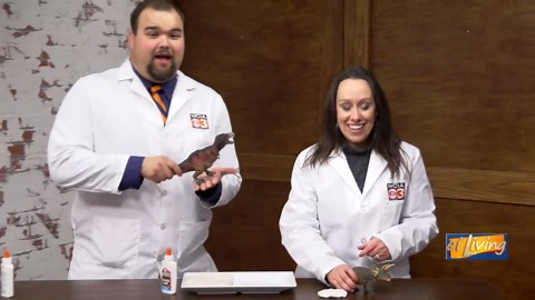 How to Make Dinosaur Fossils at Home