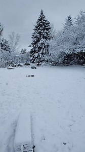 Winter wonderland over night | Joni Rees