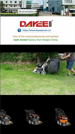 DAYEE Walk Behind Leaf Blower Demo | Yard Cleanup Made Easy