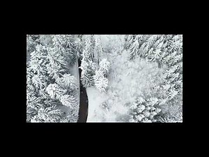 Buckethead - Hold Me Forever (Pike 65) (Full Album)