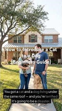 How to Introduce a Cat to a Dog (Beginner's Guide)