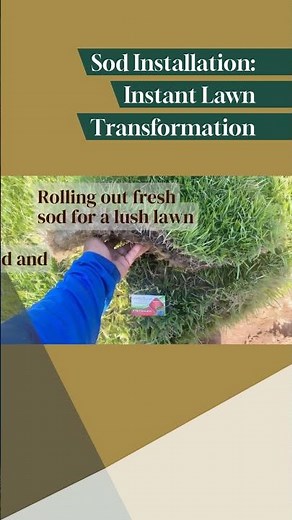Sod Installation: Instant Lawn Transformation