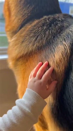 Before anyone noticed.