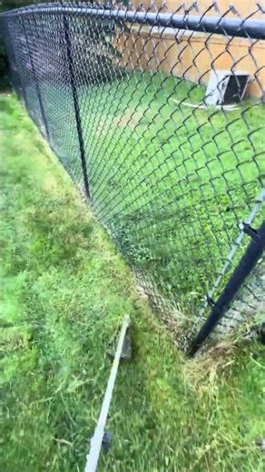 Satisfying long grass cutting with string trimmer #lawncare #groundmaintenance #grassblock