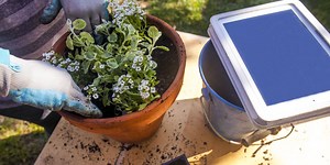 Essential gadgets to make gardening easier