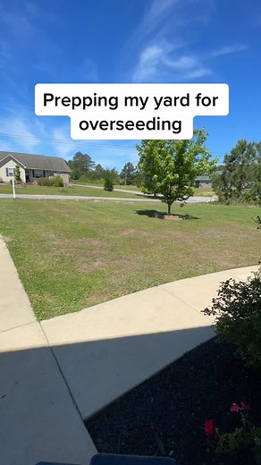 Prepping My Yard for Overseeding: Lawn Care Tips
