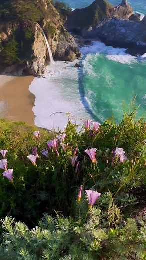 Springtime on the California Coast #springtime #california | Beautiful Nature