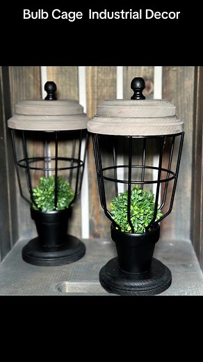 Bulb Cage Planter Decor Diy #farmhousestyle #farmhousedecor #farmhousedecordiy #industrialdecordiy #industrialdecor #handmade