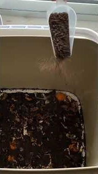 Passo a passo para Compostar com Bokashi #tutorial #compostagem #bokashi #aprender