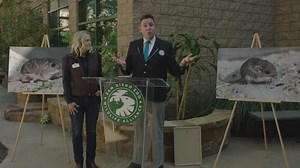 Tiny zoo mouse gets Guinness World Record for longevity at over 9 years old