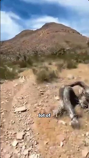 Desert Dirt Biking #hardenduro #dirtking #dirtbikeriding