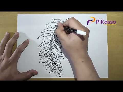 How to Draw a Fern Leaves Easy step by step