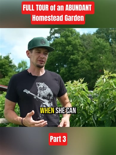 Exploring Our Abundant Homestead Garden's Trellis Techniques