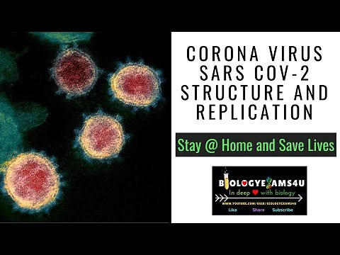 Coronavirus SARS COV-2, Structure, Replication and Genome explained