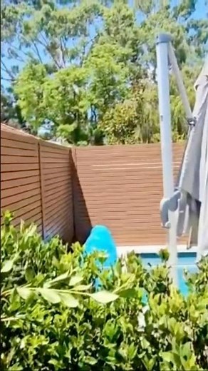 Poolside Transformation | Frameless Glass & Aluminium Slat Pool Fencing in Manning Perth